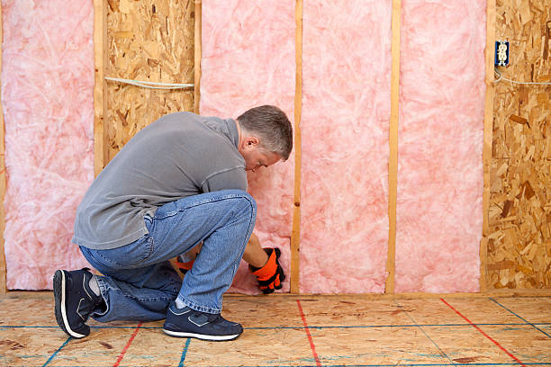 Best Insulation Repair Services  in Breckenridge, MI